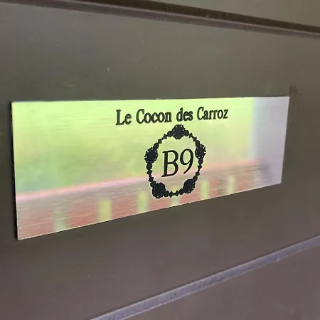 Le Cocon Des Carroz, Au Centre De La Station Et Proximite Des Pistes, 4 Pers